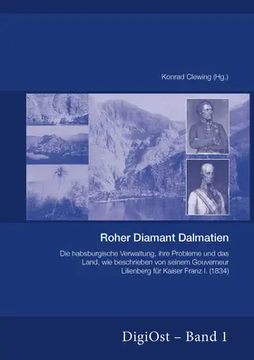 Clewing |  Roher Diamant Dalmatien | Buch |  Sack Fachmedien