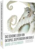 Liittschwager / Kolbert / Holland |  Das geheime Leben von Oktopus, Seepferdchen und Qualle | Buch |  Sack Fachmedien