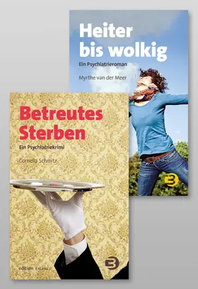 Schmitz / van der Meer |  Psychiatrieroman und Psychiatriekrimi | Buch |  Sack Fachmedien