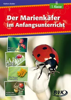 Zindler |  Der Marienkäfer im Anfangsunterricht | Buch |  Sack Fachmedien