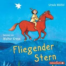 Wölfel |  Fliegender Stern | Sonstiges |  Sack Fachmedien