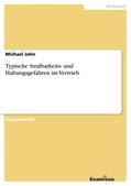 John |  Typische Strafbarkeits- und Haftungsgefahren im Vertrieb | Buch |  Sack Fachmedien