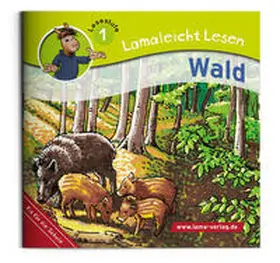 Krempel / Richter / Krempl |  Lamaleicht Lesen | Buch |  Sack Fachmedien