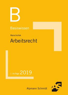 Marschollek | Basiswissen Arbeitsrecht | Buch | 978-3-86752-578-7 | sack.de