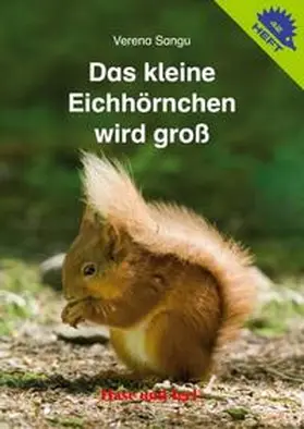 Sangu |  Das kleine Eichhörnchen wird groß | Buch |  Sack Fachmedien