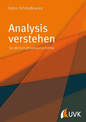 Schmallowsky | Analysis verstehen | Buch | 978-3-86764-804-2 | sack.de