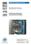 Neugebauer / Füssel / Mauermann |  Verfahrensentwicklung Hydropatchwork-Kleben | Buch |  Sack Fachmedien