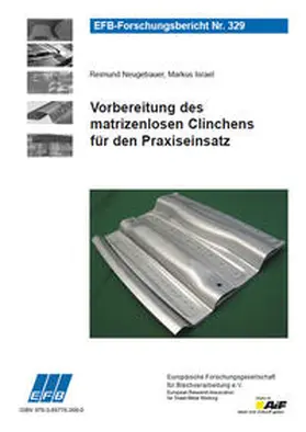 Neugebauer / Israel |  Vorbereitung des matrizenlosen Clinchens für den Praxiseinsatz | Buch |  Sack Fachmedien