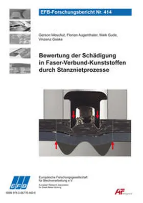 Meschut / Augenthaler / Gude |  Bewertung der Schädigung in Faser-Verbund-Kunststoffen durch Stanznietprozesse | Buch |  Sack Fachmedien