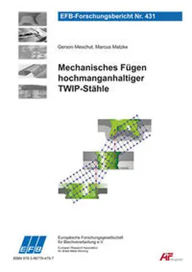 Meschut / Matzke |  Mechanisches Fügen hochmanganhaltiger TWIP-Stähle | Buch |  Sack Fachmedien