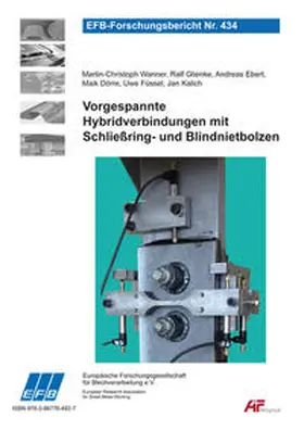 Wanner / Glienke / Ebert |  Vorgespannte Hybridverbindungen mit Schließring- und Blindnietbolzen | Buch |  Sack Fachmedien