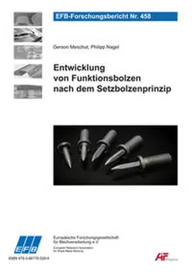 Meschut / Nagel |  Entwicklung von Funktionsbolzen nach dem Setzbolzenprinzip | Buch |  Sack Fachmedien