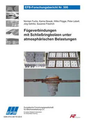 Fuchs / Nowak / Flügge |  Fügeverbindungen mit Schließringbolzen unter atmosphärischen Belastungen | Buch |  Sack Fachmedien