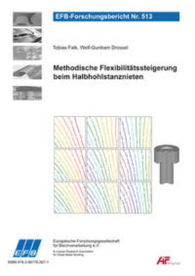 Drossel / Falk |  Methodische Flexibilitätssteigerung beim Halbhohlstanznieten | Buch |  Sack Fachmedien