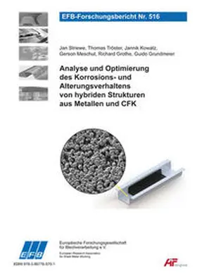 Tröster / Striewe / Meschut |  Analyse und Optimierung des Korrosions- und Alterungsverhaltens von hybriden Strukturen aus Metallen und CFK | Buch |  Sack Fachmedien
