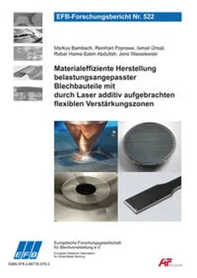 Bambach / Ünsal / Wasielewski |  Materialeffiziente Herstellung belastungsangepasster Blechbauteile mit durch Laser additiv aufgebrachten flexiblen Verstärkungszonen | Buch |  Sack Fachmedien