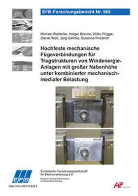 Radanke / Brauns / Flügge |  Hochfeste mechanische Fügeverbindungen für Tragstrukturen von Windenergieanlagen mit großer Nabenhöhe unter kombinierter mechanisch-medialer Belastung | Buch |  Sack Fachmedien