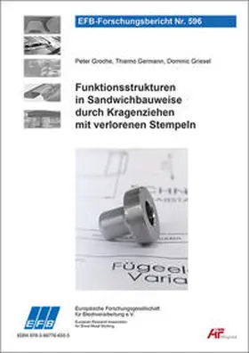 Groche / Germann / Griesel |  Funktionsstrukturen in Sandwichbauweise durch Kragenziehen mit verlorenen Stempeln | Buch |  Sack Fachmedien