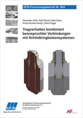Holch / Glienke / Dörre |  Tragverhalten kombiniert beanspruchter Verbindungen mit Schließringbolzensystemen | Buch |  Sack Fachmedien