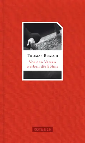Brasch |  Vor den Vätern sterben die Söhne | eBook | Sack Fachmedien