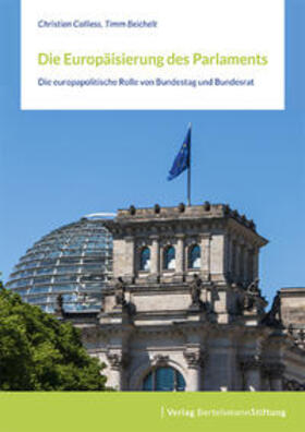 Calliess / Beichelt |  Die Europäisierung des Parlaments | Buch |  Sack Fachmedien