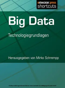 Schrempp |  Big Data | eBook | Sack Fachmedien