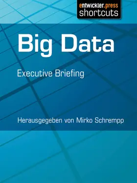 Schrempp |  Big Data | eBook | Sack Fachmedien