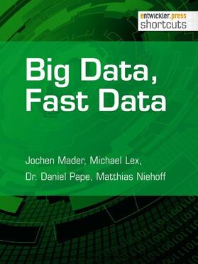 Mader / Lex / Pape | Big Data, Fast Data | E-Book | sack.de