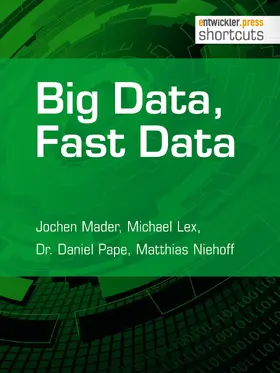 Mader / Lex / Pape |  Big Data, Fast Data | eBook | Sack Fachmedien