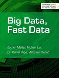 Mader / Lex / Pape |  Big Data, Fast Data | eBook | Sack Fachmedien