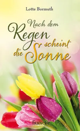 Bormuth |  Nach dem Regen scheint die Sonne | Buch |  Sack Fachmedien