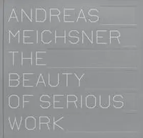 Strauß / Schaden |  Andreas Meichsner | Buch |  Sack Fachmedien