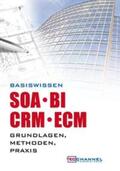 TecChannel |  Basiswissen SOA - BI - CRM - ECM | Buch |  Sack Fachmedien