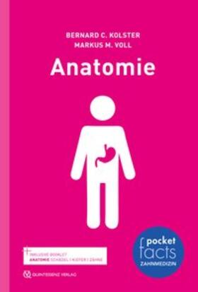 Kolster / Voll |  Pocket Facts Anatomie | Buch |  Sack Fachmedien