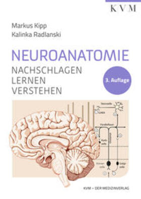 Kipp / Radlanski | Neuroanatomie | Buch | 978-3-86867-599-3 | sack.de