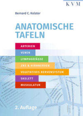 Kolster |  Anatomische Tafeln | Buch |  Sack Fachmedien