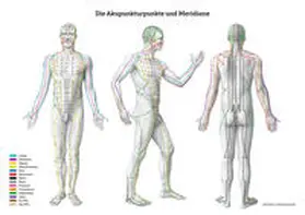 Lernposter - Die Akupunkturpunkte und Meridiane | Sonstiges | 978-3-86867-696-9 | sack.de