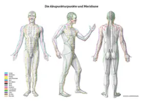  Lernposter – Die Akupunkturpunkte und Meridiane | Sonstiges |  Sack Fachmedien