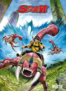 Lodewijk |  Storm 27. Die Weichenwärter | Buch |  Sack Fachmedien