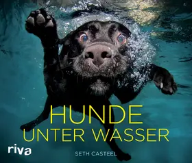 Casteel | Hunde unter Wasser | Buch | 978-3-86883-280-8 | sack.de