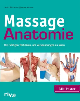Ellsworth / Altman |  Massage-Anatomie | Buch |  Sack Fachmedien