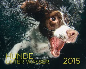 Casteel |  Hunde unter Wasser 2015 | Sonstiges |  Sack Fachmedien