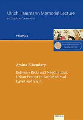 Amina |  Between Riots and Negotiations | Buch |  Sack Fachmedien