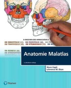 Kapit / Elson | Anatomie Malatlas | Buch | 978-3-86894-439-6 | sack.de