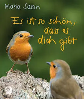 Sassin |  Es ist so schön, dass es dich gibt | Buch |  Sack Fachmedien