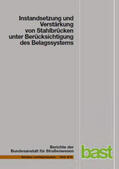 Sedlacek / Paschen / Feldmann |  Instandsetzung und Verstärkung von Stahlbrücken unter Berücksichtigung des Belagsystems | Buch |  Sack Fachmedien