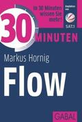 Hornig |  30 Minuten Flow | Buch |  Sack Fachmedien
