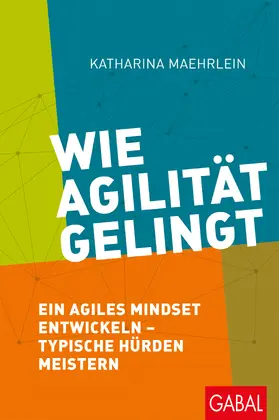 Maehrlein |  Wie Agilität gelingt | Buch |  Sack Fachmedien