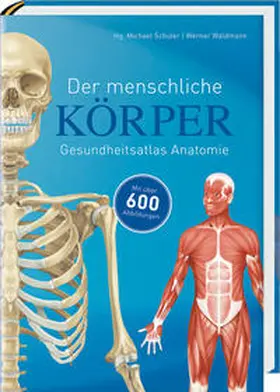 Schuler / Waldmann |  Der menschliche Körper | Buch |  Sack Fachmedien