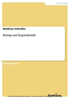 Schindler |  Rating und Kapitalmarkt | eBook | Sack Fachmedien